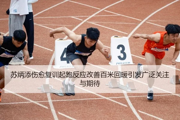 苏炳添伤愈复训起跑反应改善百米回暖引发广泛关注与期待